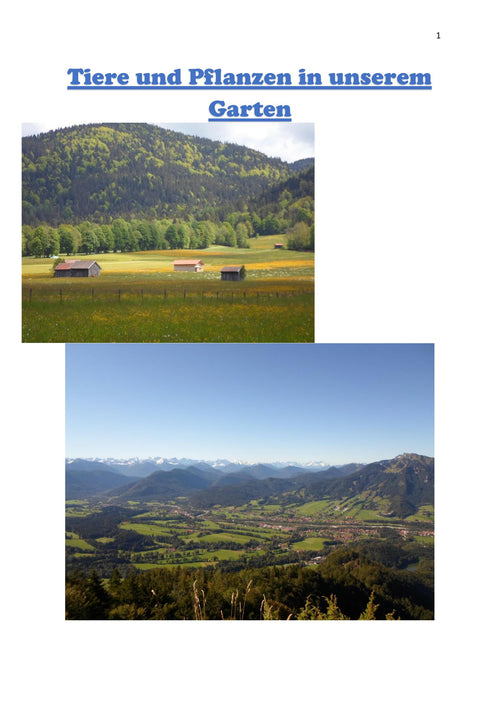 Tiere und Pflanzen in unserem Garten